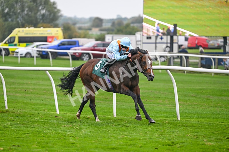 181025-Race 7-Lexington Blitz-1377 - Race 7