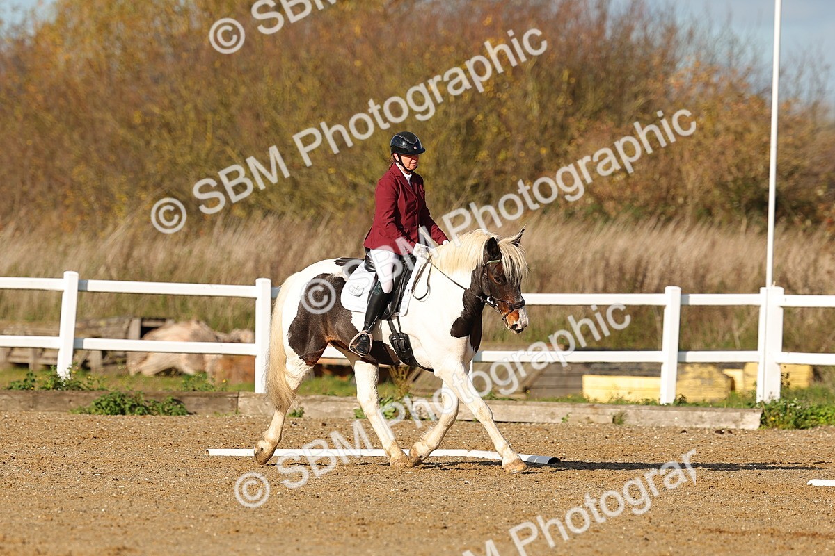 SBM_000595 - Novice 4