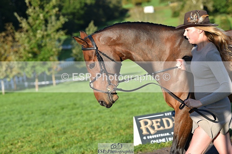 231022-092414-21762 - 617-MR.MISCHIEVOUS-Megan.Brown-TrotUp+SJ