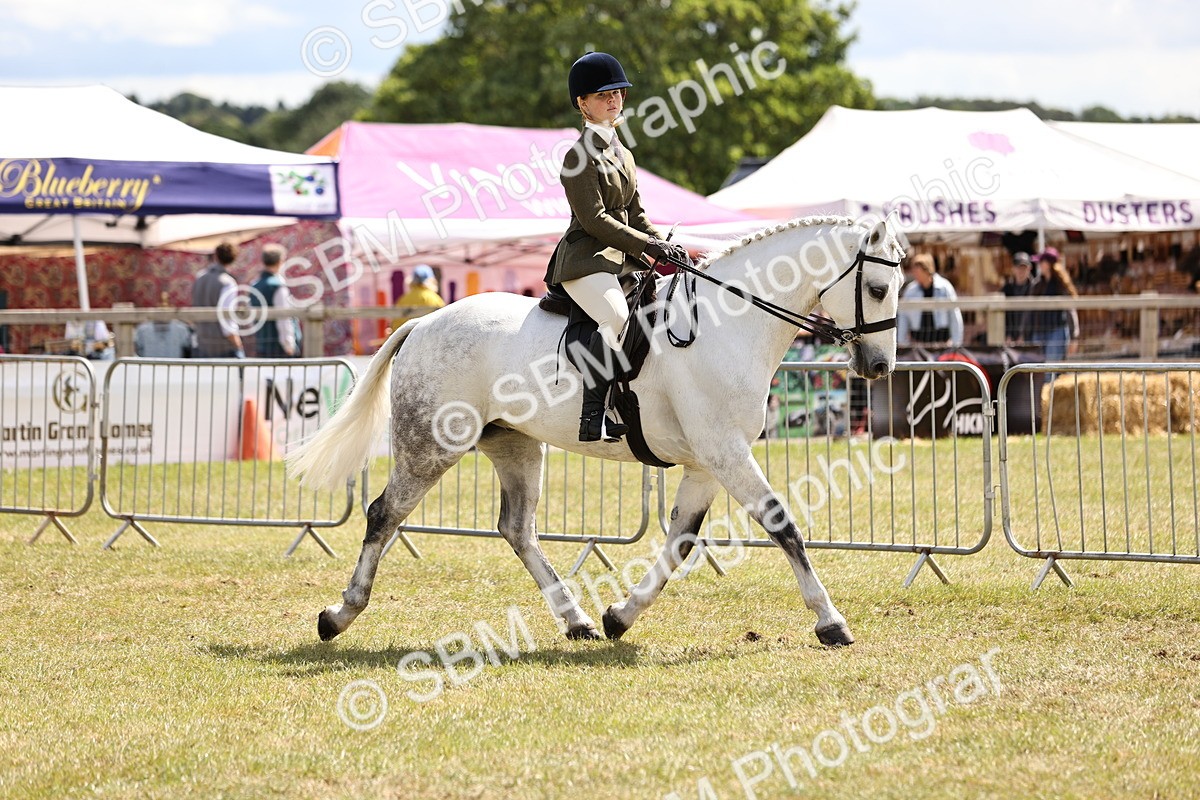 SBM_14523 - Class 88-89 - LIHS BSHA Rising Star of Ridden Hunter Type