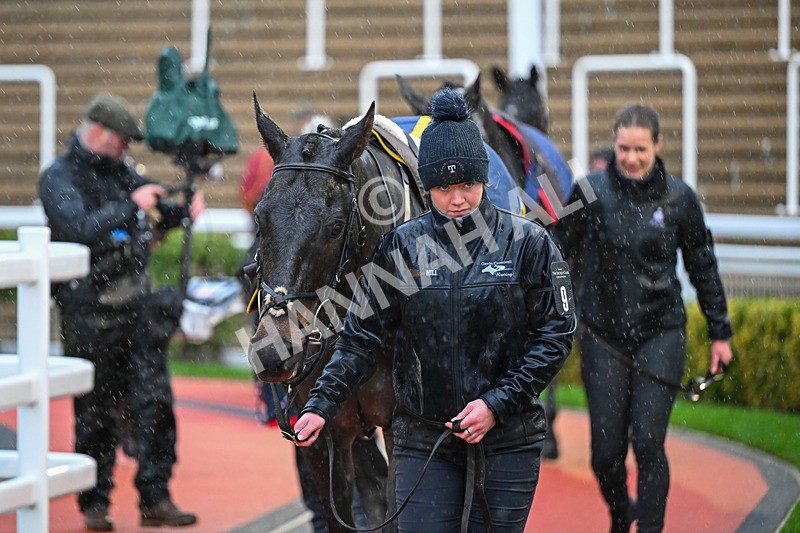141125-Race 5-Welonlyhavedone-0545 - Race 5