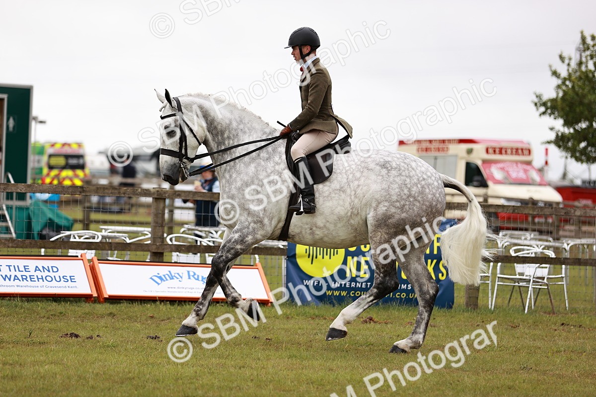 SBM_10924 - Class 81-84 - RIHS Ridden hunters Inc Ladies Hunter