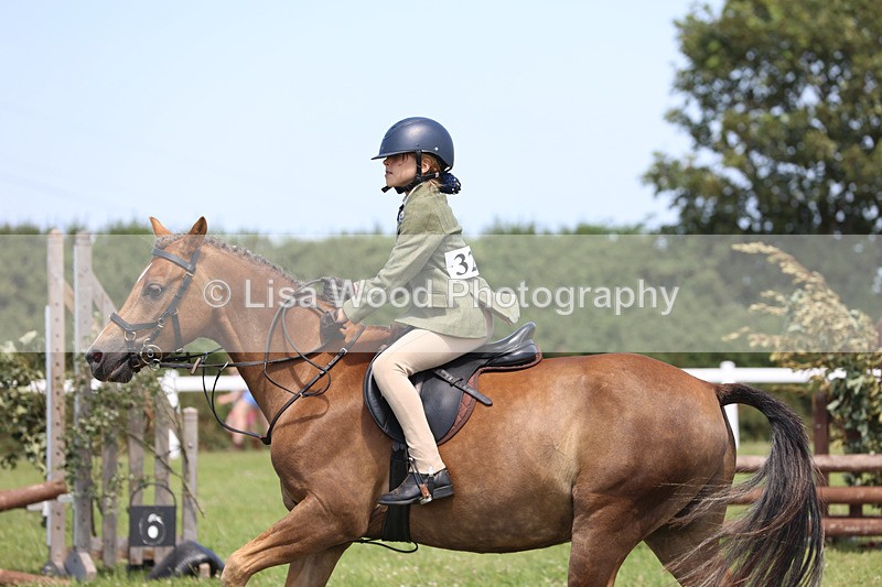 JPP_2666 - Class 21: Working Hunter 60cm