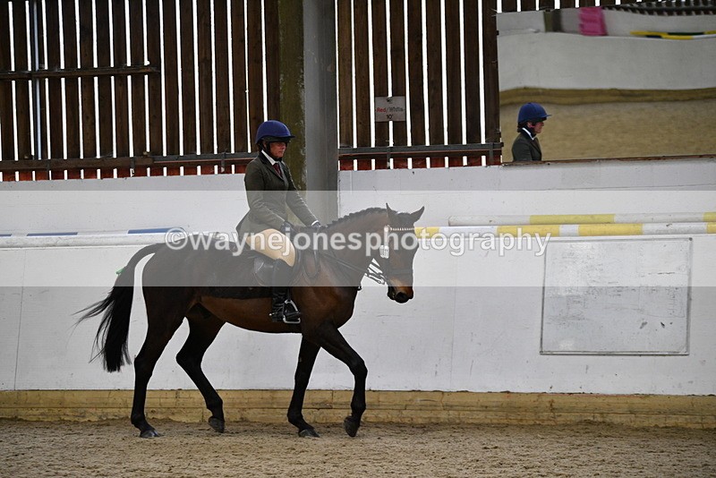 WJ5_7994 - Class 13 Ridden Part Breed