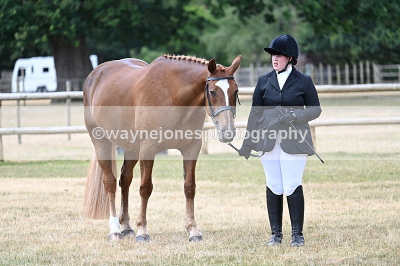 WJ7_1891 - Class 4a Prettiest Mare 14.2hh and over hand