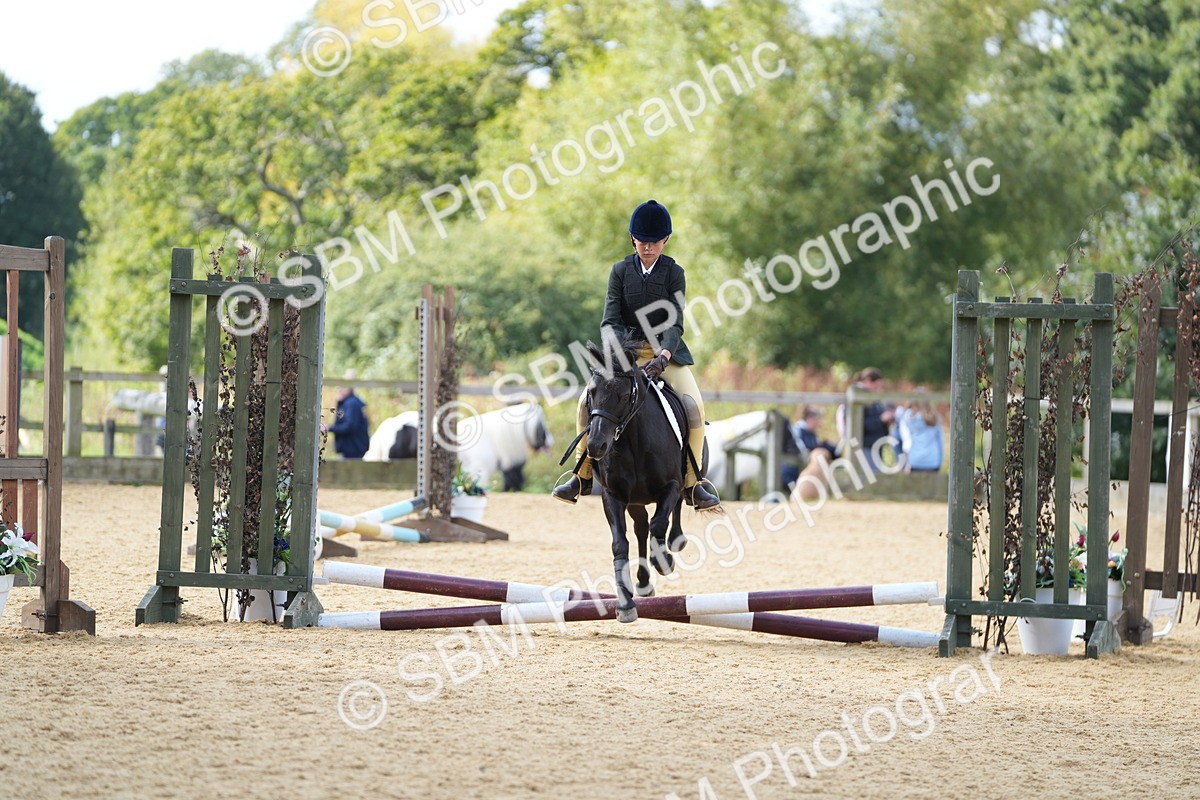 SBM_64463 - J2 - Mini Tour Junior Pony 30cm Championship