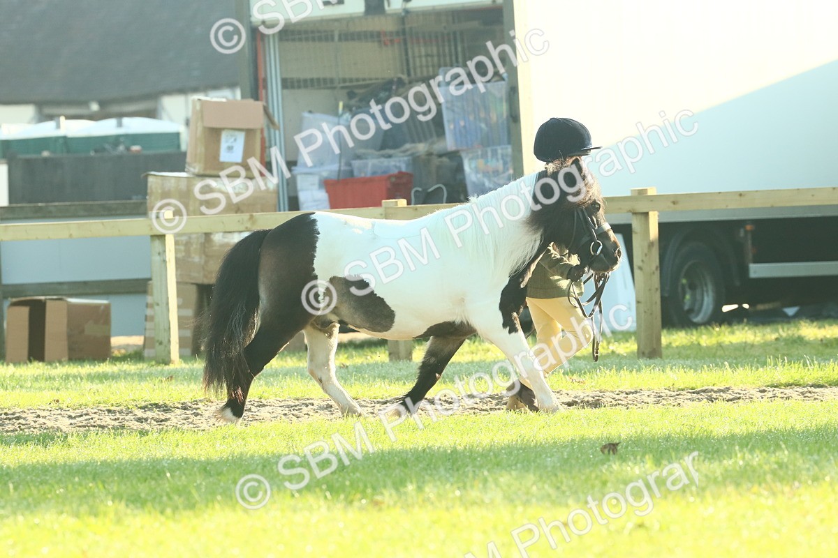 SBM_57336 - S37 - Starters In Hand Showing