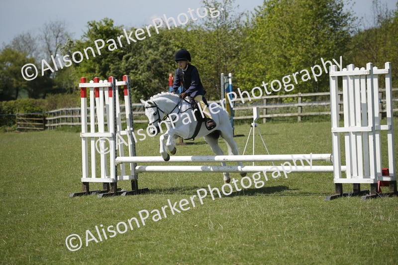 20250427-2301 - Class 13 - Novice Jumping 60cm