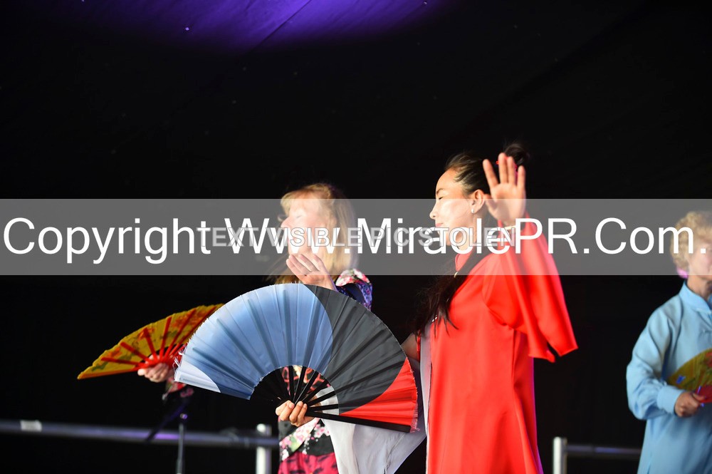 SH4_1713 - Tai Chi with Lisa Kay.
