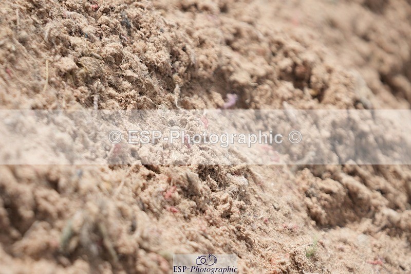 250921-135745-03430 - Cls 15-17 CoH 90cm, 1m and 1.10m