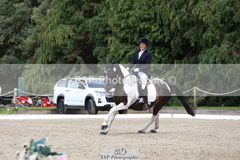 230812-140305-04373 - Cls 5 Novice Bronze 13.40 to 14.45 break