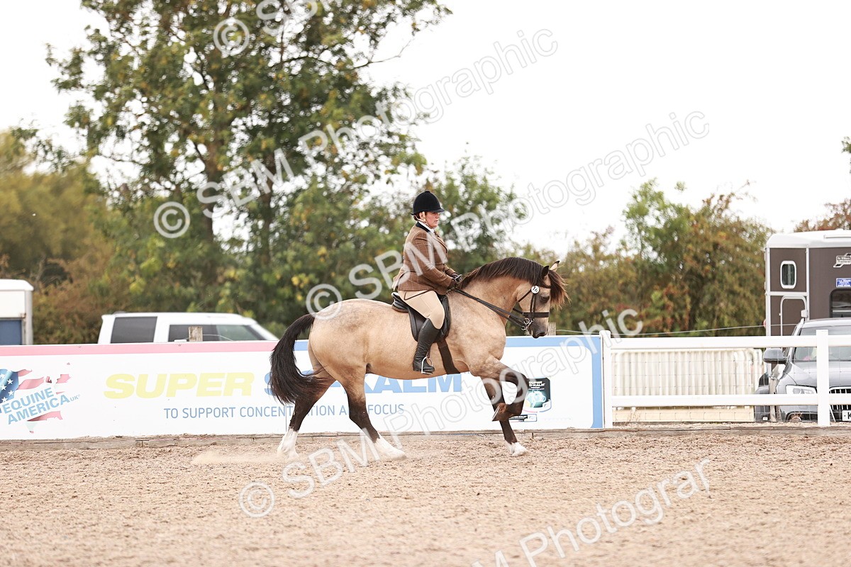 SBM_19076 - Class 422 - Ridden M&M