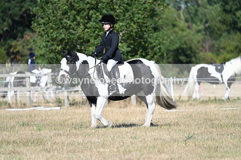 WJ7_9392 - Time 10:08 to 10:13