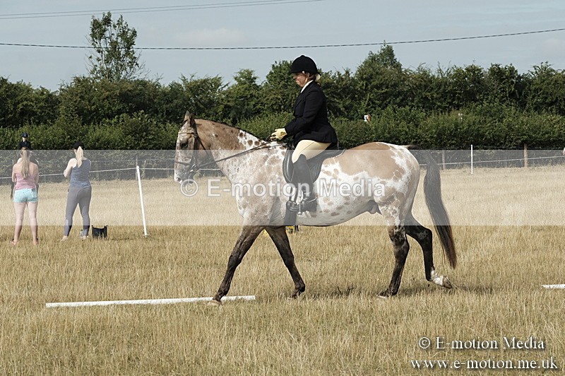 _PJP5710 - Dressage Classes BVRC Show 2018