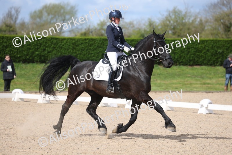 20260405-0237 - Class 3 - Novice 5