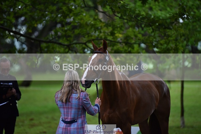 240522-161616-00827 - 166-MEXICAN_LAW-Isabelle_Cook