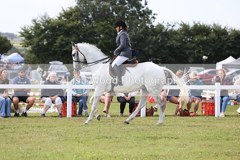 JPP_1472 - Class 17: Cornish Combination Open