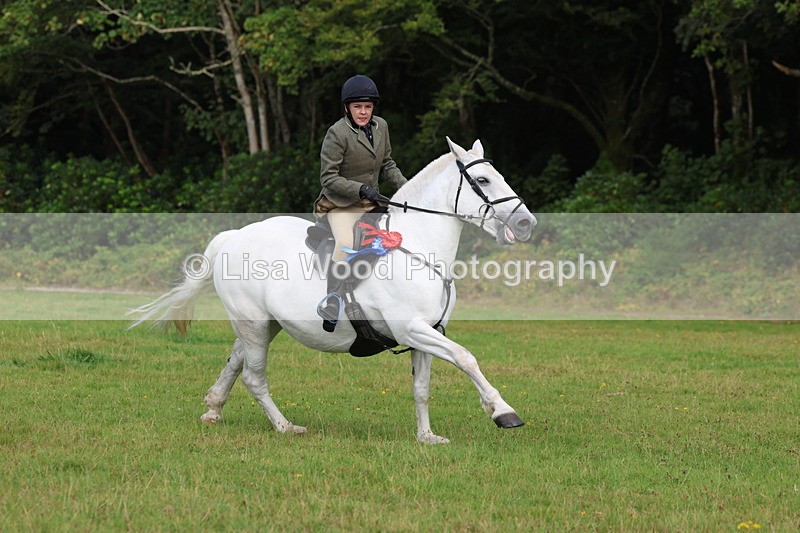 3E7A6077 - Working Hunter Championship