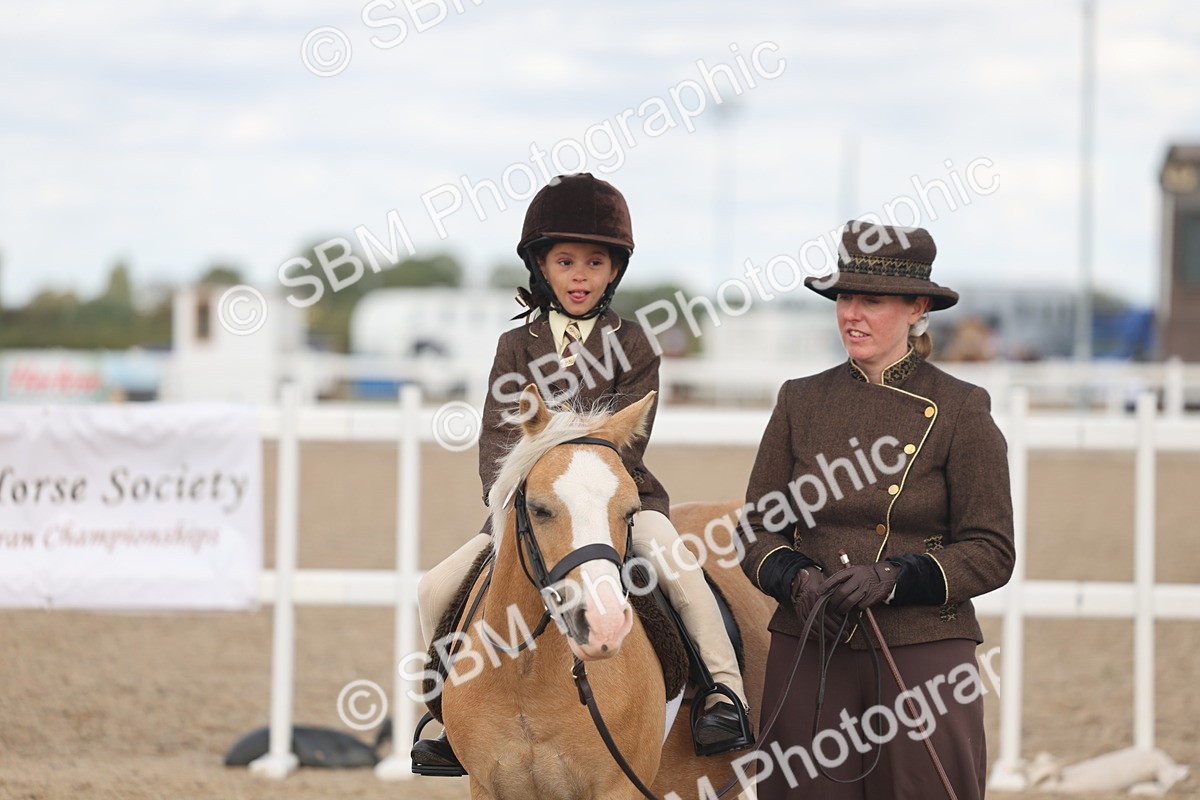SBM_15806 - Class 309 - Lead Rein Pony