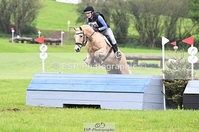 250419-125942-10475 - 523-Kate.Hicks-SWALLOWCROFT.STARDUST