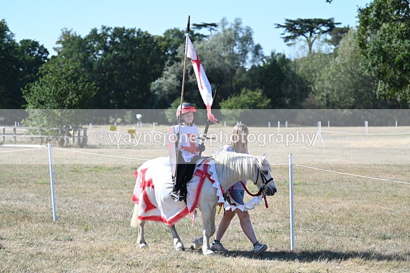 WJ7_2519 - Class 45 Fancy Dress (My Fav)