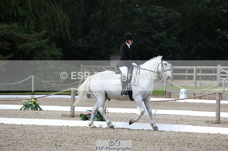 230812-113320-03790 - Cls 5 Novice Bronze 11.15 to 12.50 break