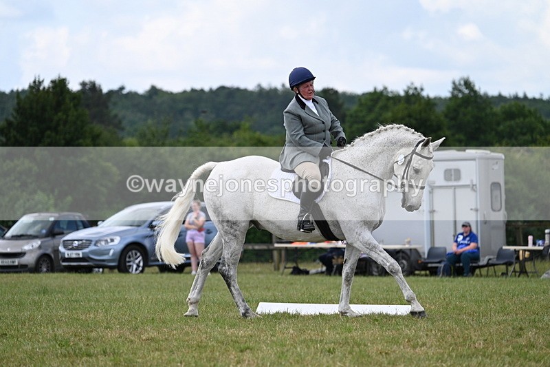 WJ7_5144 - Time 11:22 to 11:51