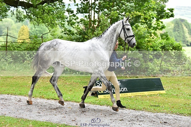 240522-160820-00734 - 155-GLOBAL_PROMISE-Ivy_Fisher