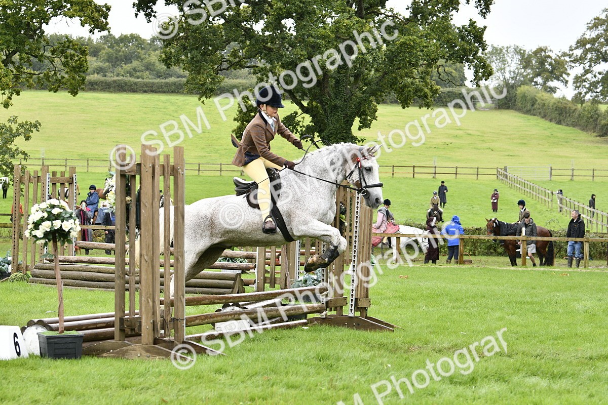 SBM_41452 - S32 - Mountain & Moorland Working Hunter Pony