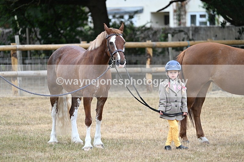 WJ7_8528 - Class 4 Prettiest Mare up to 14.2hh