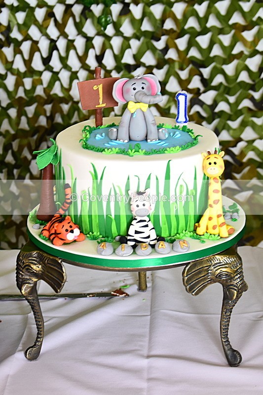 ADN-411 - Aiden's 1st Birthday