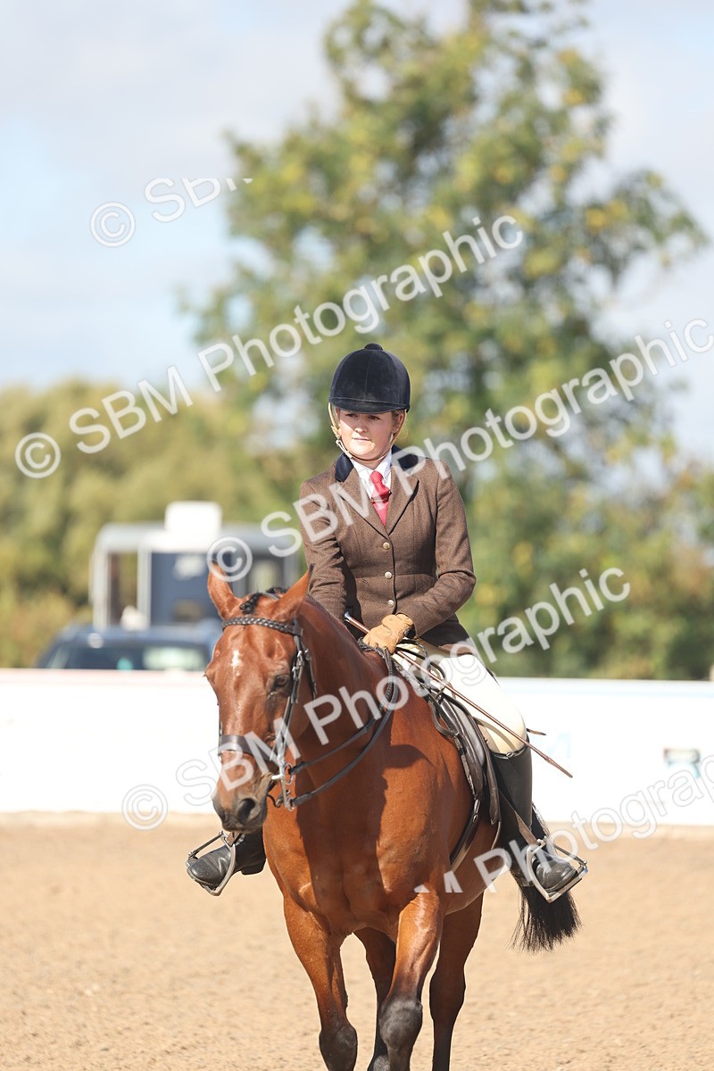SBM_22621 - Class 804 - Ridden Veteran Pony