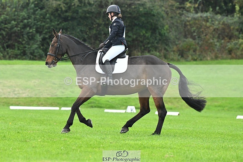 241024-114549-03310 - 509-Tichy.Sanders-SPARHANGER.VELVET