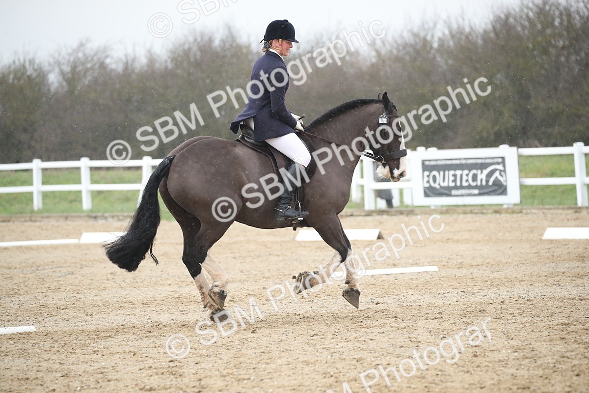 SBM_003093 - BRC Prelim B