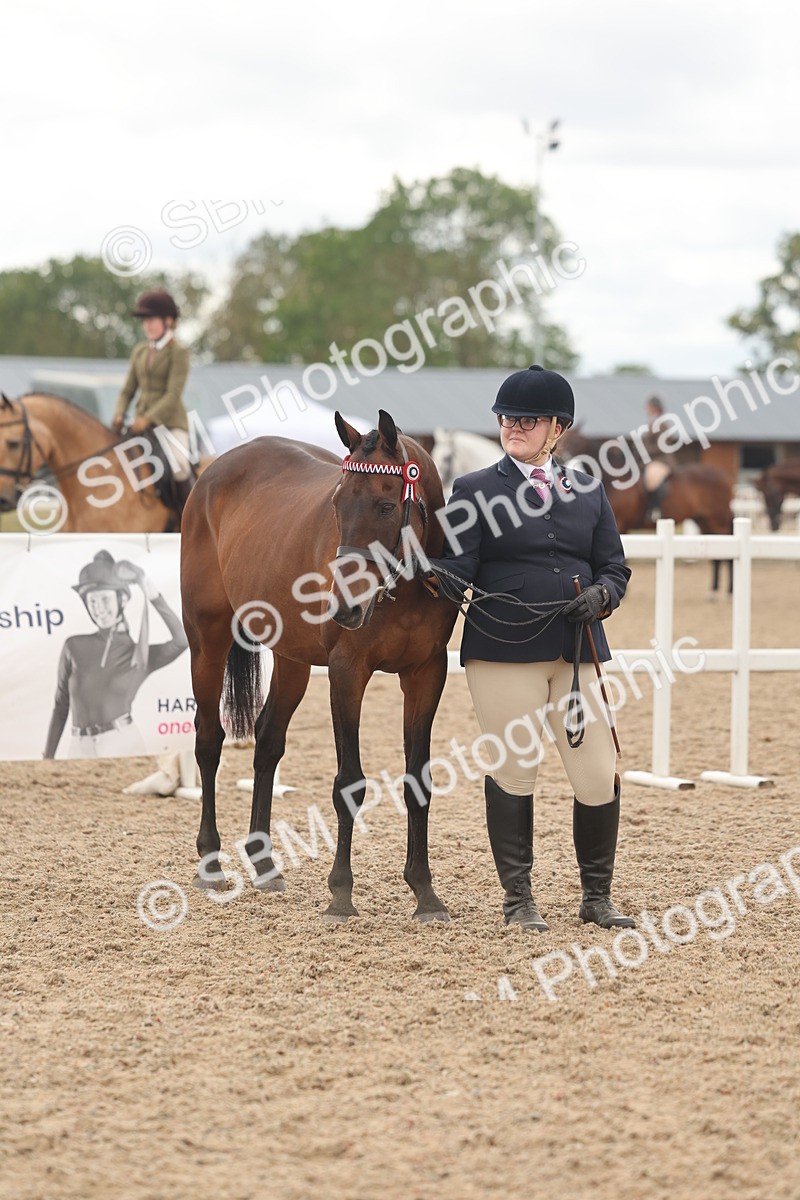SBM_17138 - Class 313 - IH Retired Racehorse