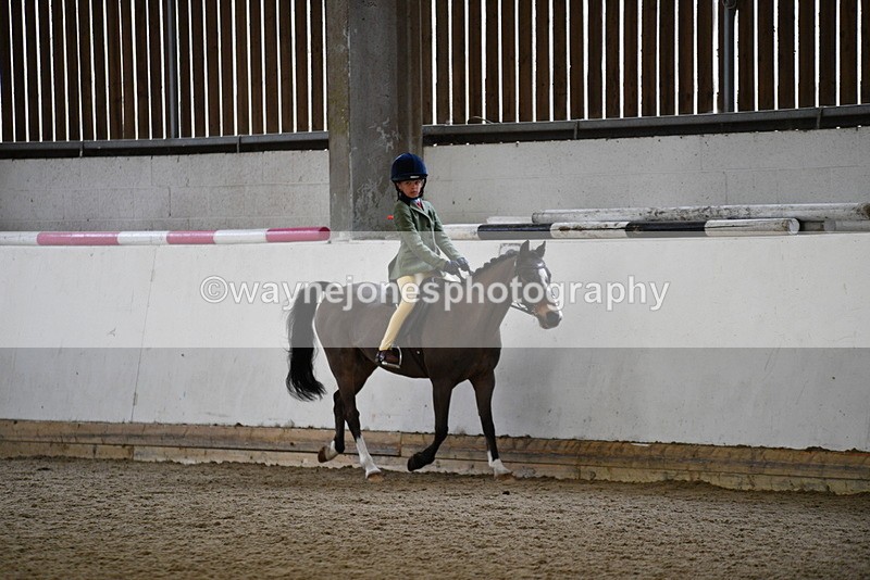 WJ5_6496 - Class 10 Childs Pony