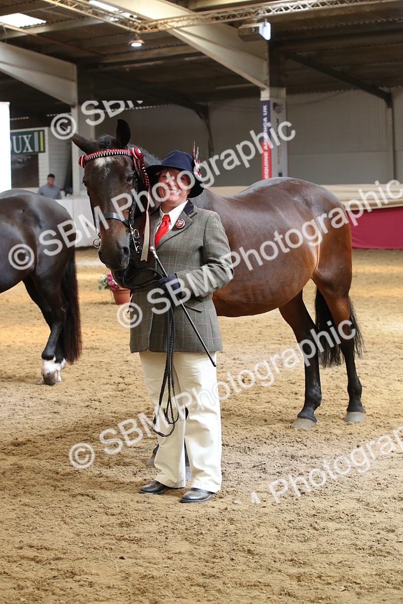 SBM_05417 - Class 8R - Regional IH Veteran