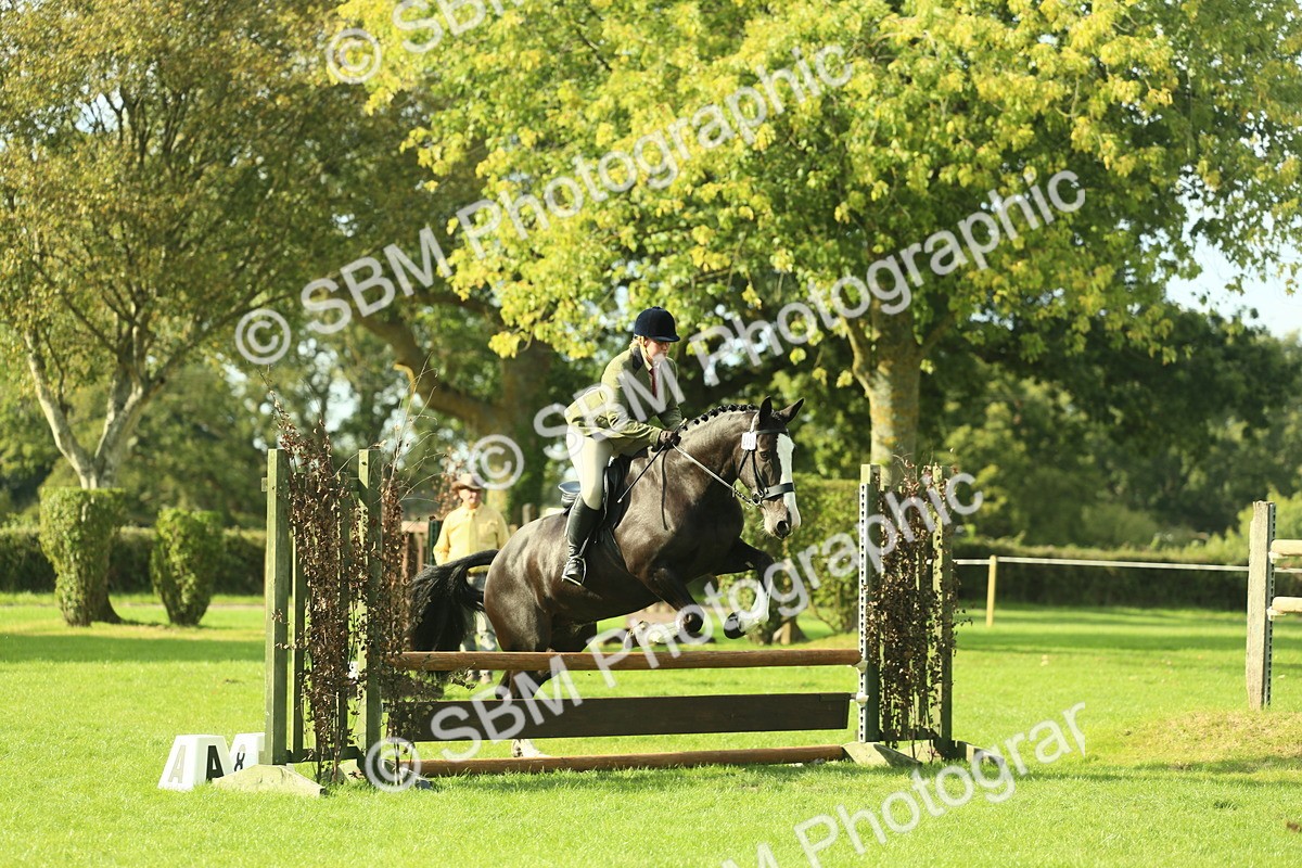 SBM_50625 - S33 - Working Hunter & Working Show Horse