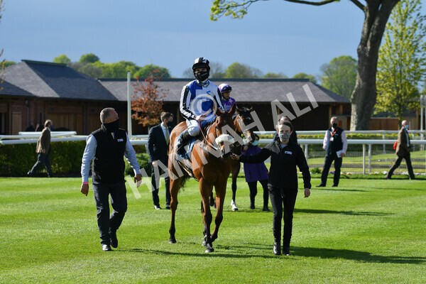 yr13052021r7-38 - Race 7 4.50pm Autohorn Stakes