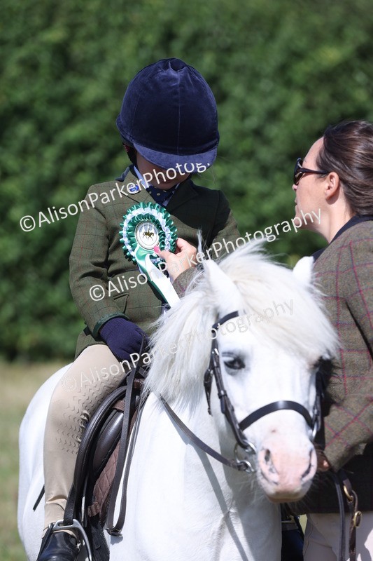 20250831-2562 - Class 16 - Family Pony