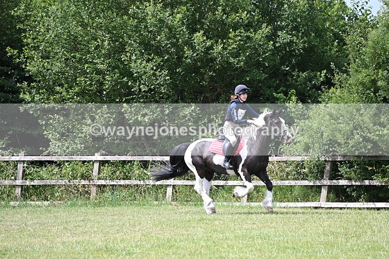 WJ6_6852 - 80cm XC Pairs