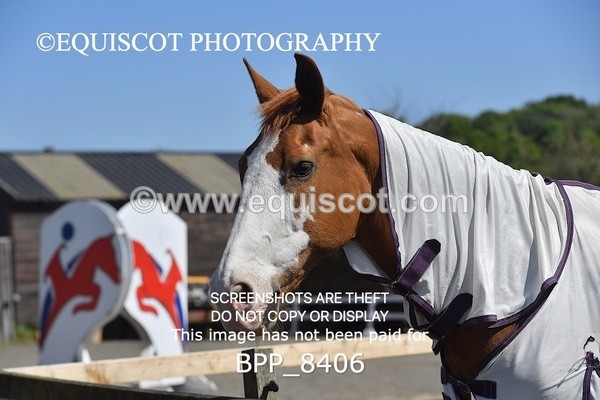 BPP_8406 - CLASS 7 Senior Foxhunter/ 1.20m Open