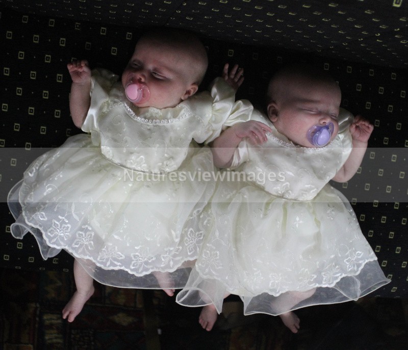 babies3 - Weddings