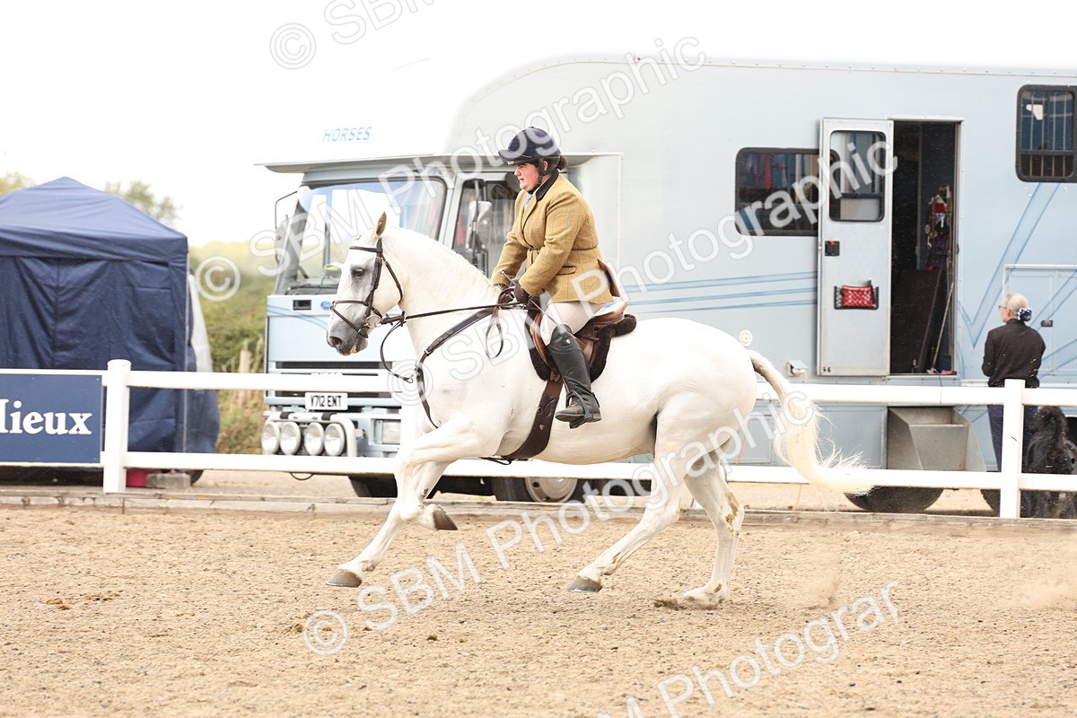 SBM_06776 - Class 58a -  Style & Performance - 70cm (15-19)