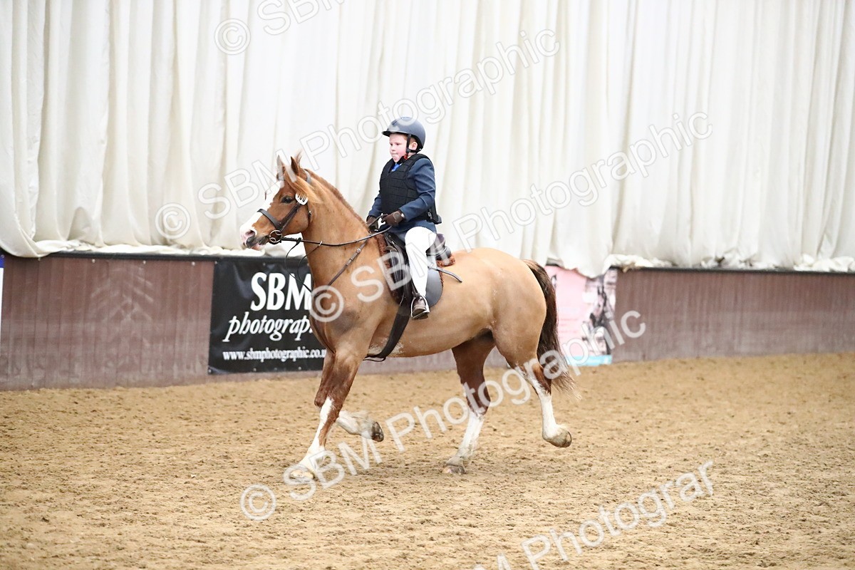 SBM_000712 - Class 2 - 40cm