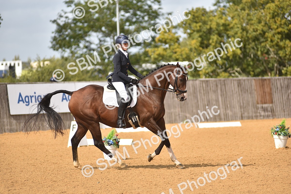 SBM_07773 - D15 - Small Tour Championship Novice 1