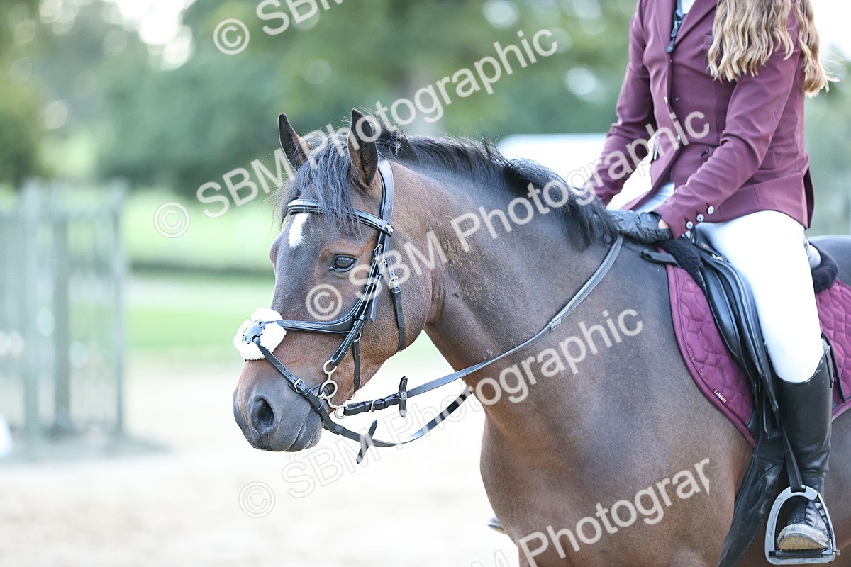 SBM_54385 - Supreme Championship 70cm 75cm