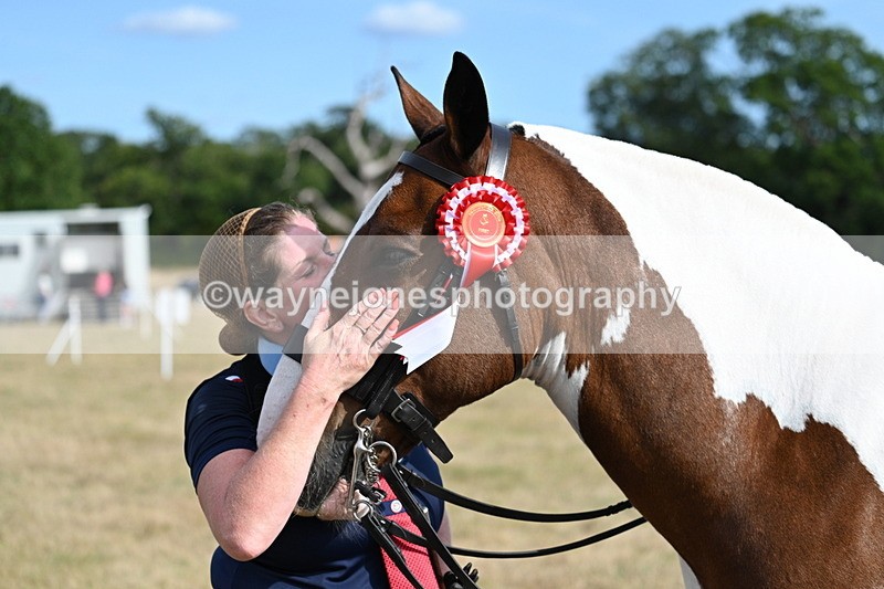 WJ7_7936 - George ...