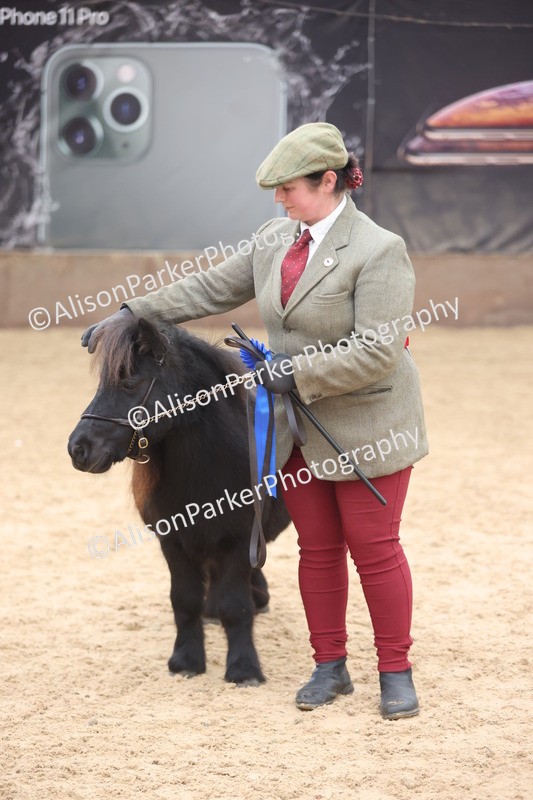 20251109-0348 - Class 13 - Mares 4 Years and Over