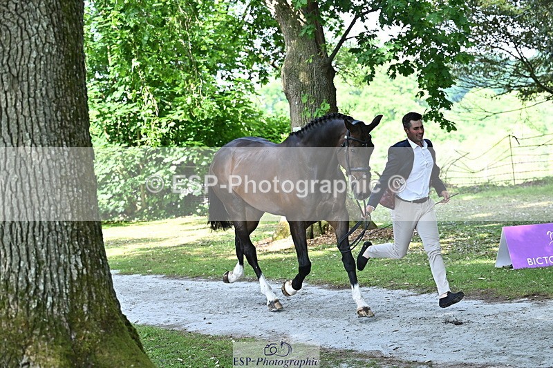 250521A-155035-00793 - B-372-Stephen.Heal-HISCO